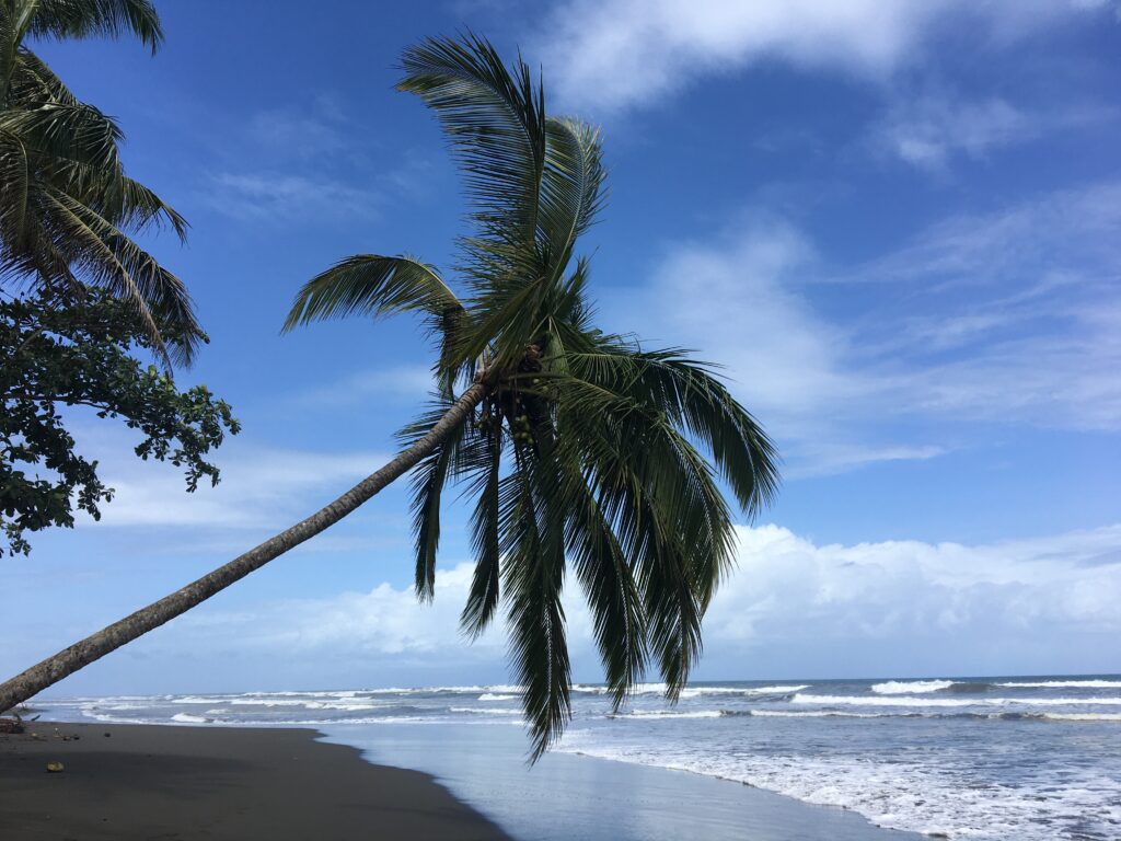 destination voyage : plage de pacuare Costa Rica