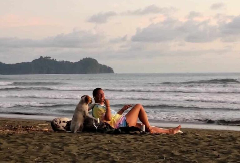 Lire la suite à propos de l’article 🐢 Tortugas de Isla Damas : une destination voyage entre plage sauvage et mission eco 🌴
