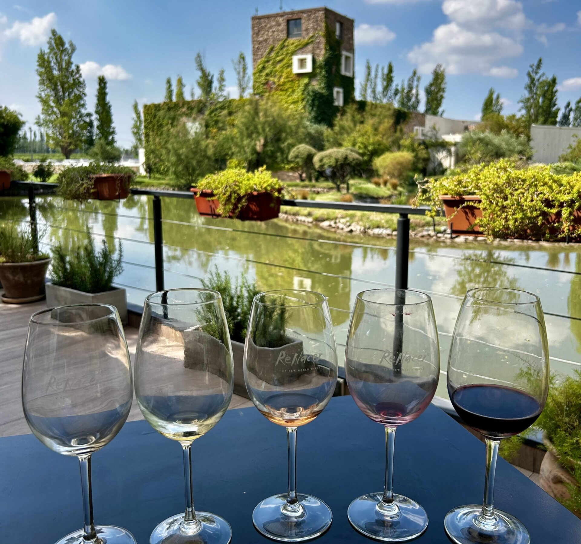 Lire la suite à propos de l’article Mendoza, Argentine : Destination voyage entre vignes & fête