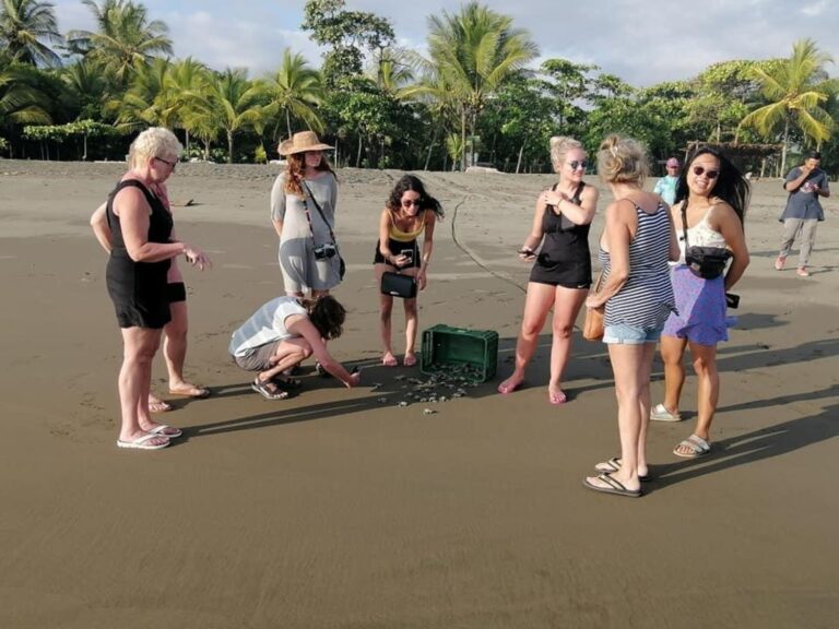 Lire la suite à propos de l’article 🐢 Tortugas de Isla Damas : une destination voyage entre plage sauvage et mission eco 🌴
