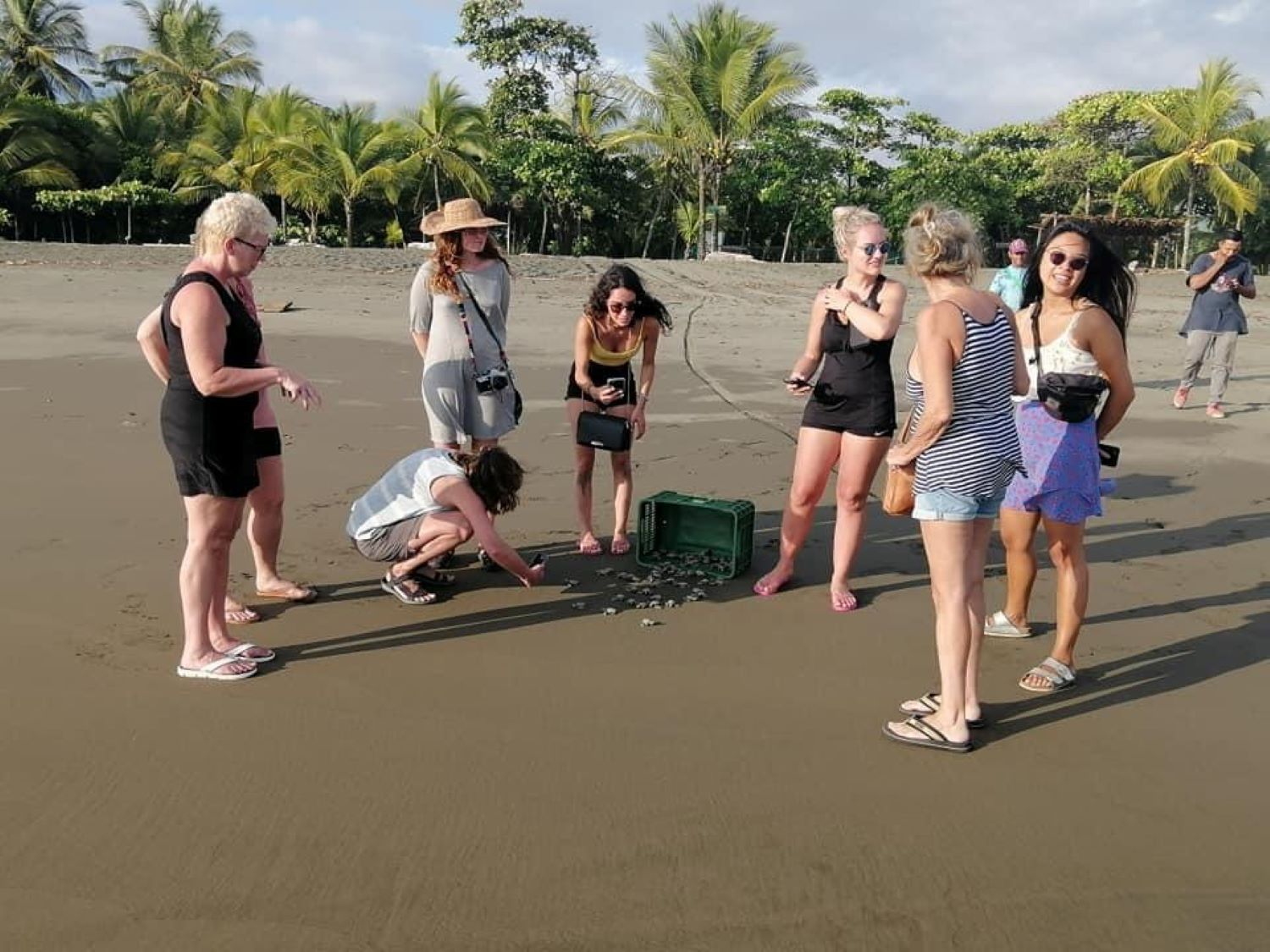 Lire la suite à propos de l’article 🐢 Tortugas de Isla Damas : une destination voyage entre plage sauvage et mission eco 🌴